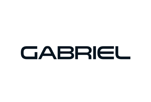 gabriel-project.png